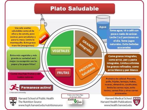 Plato saludable